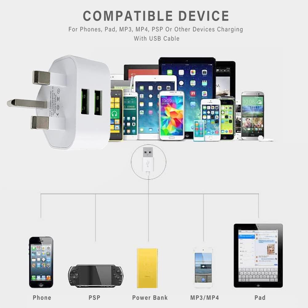 Dual port Usb plug