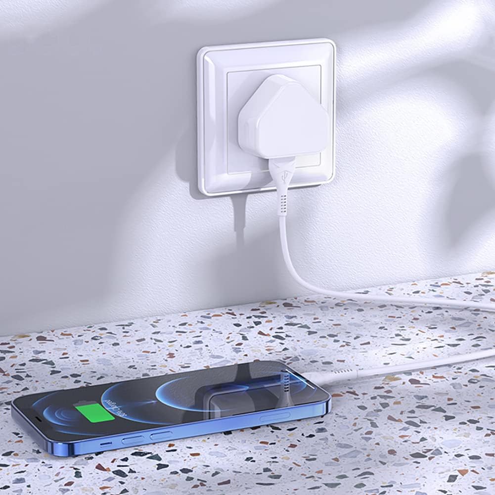 Dual port Usb plug